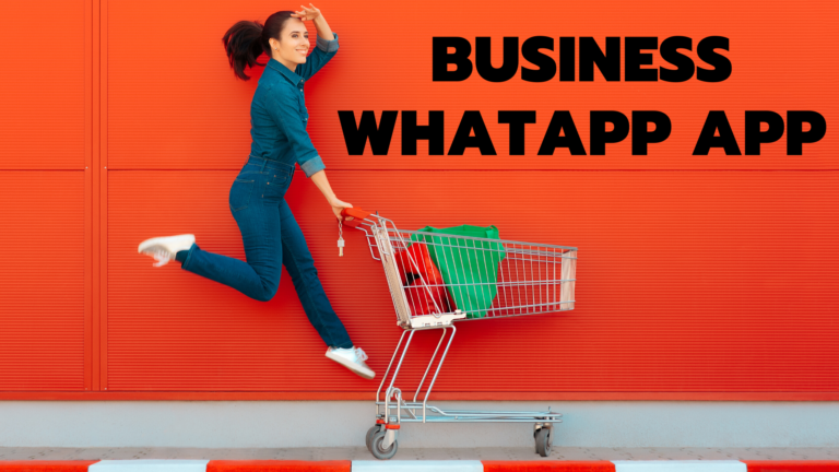 Business WhatsApp Account : A complete Guide with 11 tips 3 The Digital Chapters