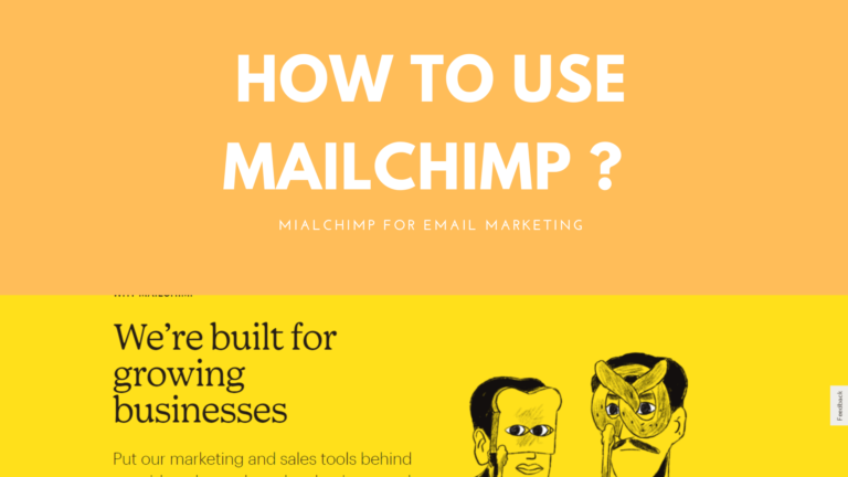 How to Use Mailchimp for Email Marketing? The 5 Tips 3 The Digital Chapters